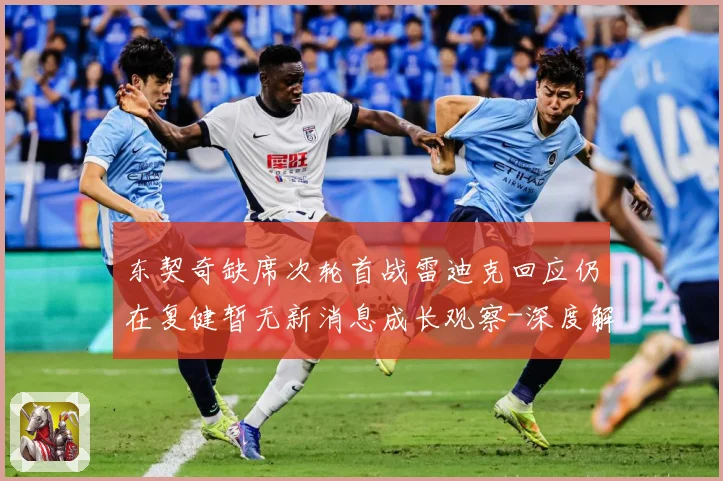 东契奇缺席次轮首战雷迪克回应仍在复健暂无新消息成长观察-深度解析